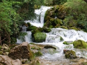 Fonts del cardener