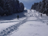 Cross-country skiing